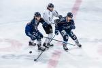 Photo hockey match Angers  - Marseille le 09/01/2024