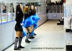 Photo hockey match Angers  - Mulhouse le 22/01/2013