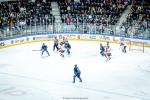 Photo hockey match Angers  - Nice le 31/01/2025