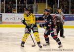 Photo hockey match Angers  - Rouen le 07/12/2013