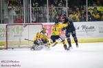 Photo hockey match Angers  - Rouen le 02/11/2018