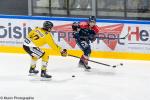 Photo hockey match Angers  - Rouen le 31/03/2023
