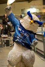 Photo hockey match Angers  - Rouen le 09/04/2010