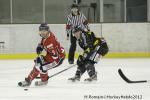 Photo hockey match Angers  - Rouen le 26/12/2012