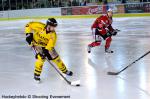 Photo hockey match Angers  - Rouen le 27/03/2013