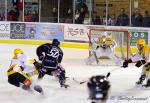 Photo hockey match Angers  - Strasbourg  le 13/11/2013