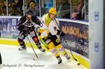 Photo hockey match Angers  - Strasbourg  le 13/11/2013