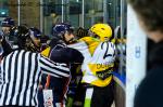 Photo hockey match Angers  - Strasbourg  le 13/11/2013