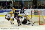 Photo hockey match Angers  - Strasbourg  le 13/11/2013