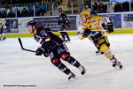 Photo hockey match Angers  - Strasbourg  le 07/01/2014