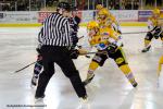 Photo hockey match Angers  - Strasbourg  le 11/01/2014