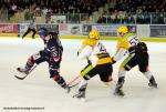Photo hockey match Angers  - Strasbourg  le 11/01/2014