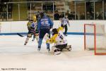 Photo hockey match Angers  - Strasbourg  le 17/11/2009