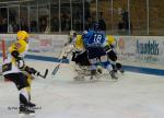 Photo hockey match Angers  - Strasbourg  le 15/01/2011