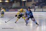 Photo hockey match Angers  - Strasbourg  le 19/03/2011
