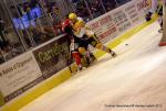 Photo hockey match Angers  - Strasbourg  le 29/12/2012