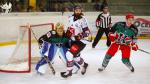 Photo hockey match Anglet - Amiens  le 18/12/2018