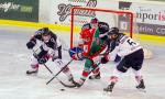 Photo hockey match Anglet - Angers  le 12/02/2021