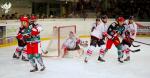 Photo hockey match Anglet - Bordeaux le 11/01/2019