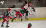 Photo hockey match Anglet - Bordeaux le 10/01/2020