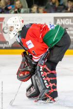 Photo hockey match Anglet - Lyon le 31/10/2013