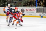 Photo hockey match Anglet - Montpellier  le 25/01/2014