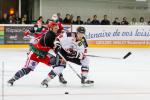 Photo hockey match Anglet - Mulhouse le 05/10/2013