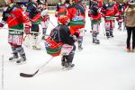 Photo hockey match Anglet - Nice le 11/02/2014