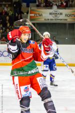 Photo hockey match Anglet - Reims le 16/11/2013
