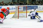Photo hockey match Anglet - Reims le 16/11/2013