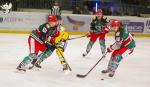 Photo hockey match Anglet - Rouen le 16/11/2018