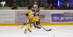 Photo hockey match Anglet - Rouen le 16/11/2018