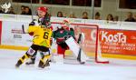 Photo hockey match Anglet - Rouen le 16/11/2018