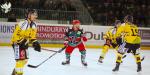 Photo hockey match Anglet - Rouen le 16/11/2018