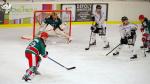 Photo hockey match Anglet - Rouen le 14/02/2020