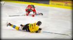 Photo hockey match Anglet - Rouen le 10/01/2021