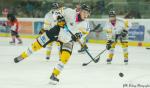 Photo hockey match Anglet - Rouen le 27/10/2023