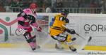 Photo hockey match Anglet - Rouen le 27/10/2023