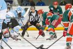 Photo hockey match Anglet - Tours  le 01/11/2014