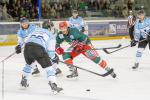 Photo hockey match Anglet - Tours  le 01/11/2014