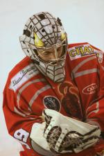 Photo hockey match Annecy - Bordeaux le 08/11/2008