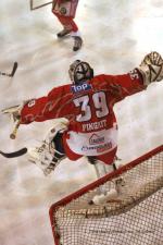 Photo hockey match Annecy - Bordeaux le 08/11/2008