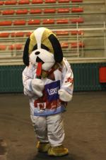 Photo hockey match Annecy - Clermont-Ferrand le 20/11/2010