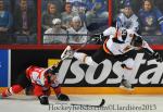 Photo hockey match Austria - Germany le 08/05/2013