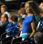 Photo hockey match Austria - Germany le 08/05/2013