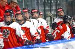 Photo hockey match Austria - Slovakia le 30/04/2022