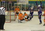 Photo hockey match Avignon - Boulogne Billancourt le 13/04/2014