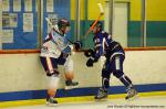 Photo hockey match Avignon - Clermont-Ferrand le 15/11/2014