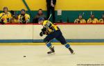 Photo hockey match Avignon - Limoges le 08/10/2016