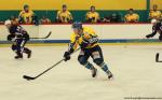 Photo hockey match Avignon - Limoges le 08/10/2016